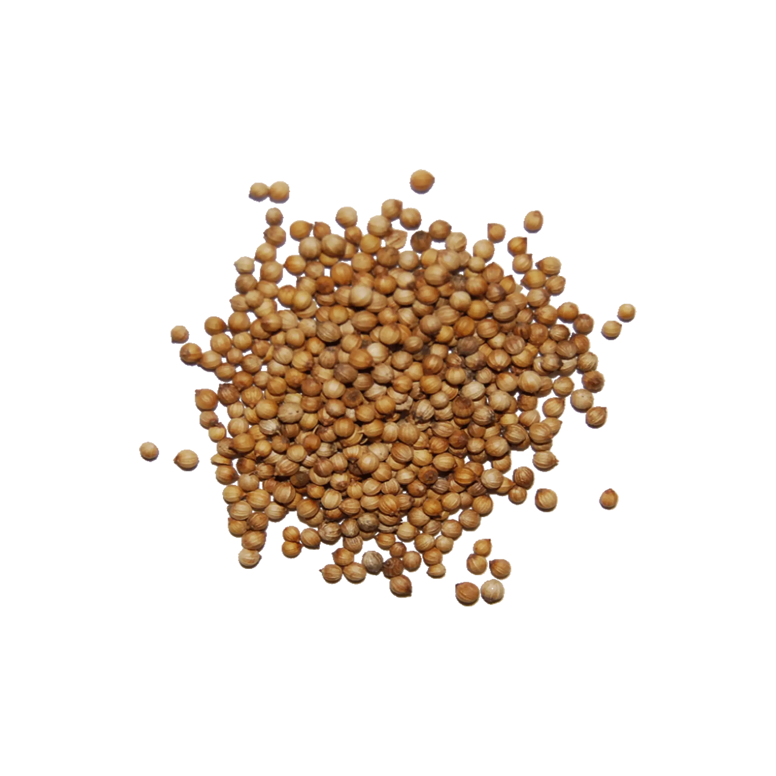 Krishikhamar - krishikhamar_1711637374.webp