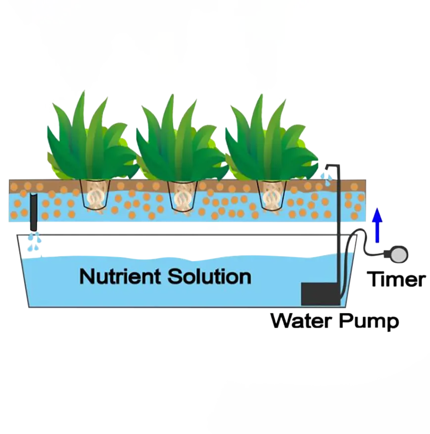 Krishikhamar - krishikhamar_1711637518.webp