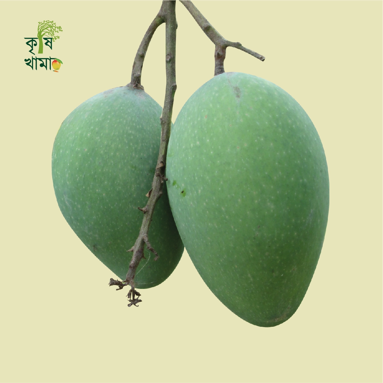 Krishikhamar - krishikhamar_1711638298.webp