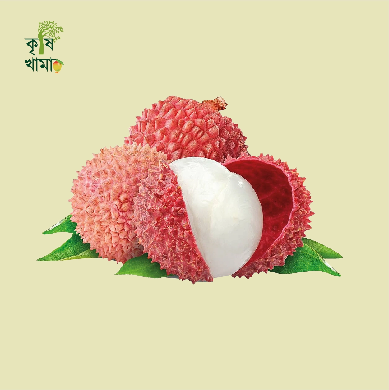 Krishikhamar - krishikhamar_1711638305.webp