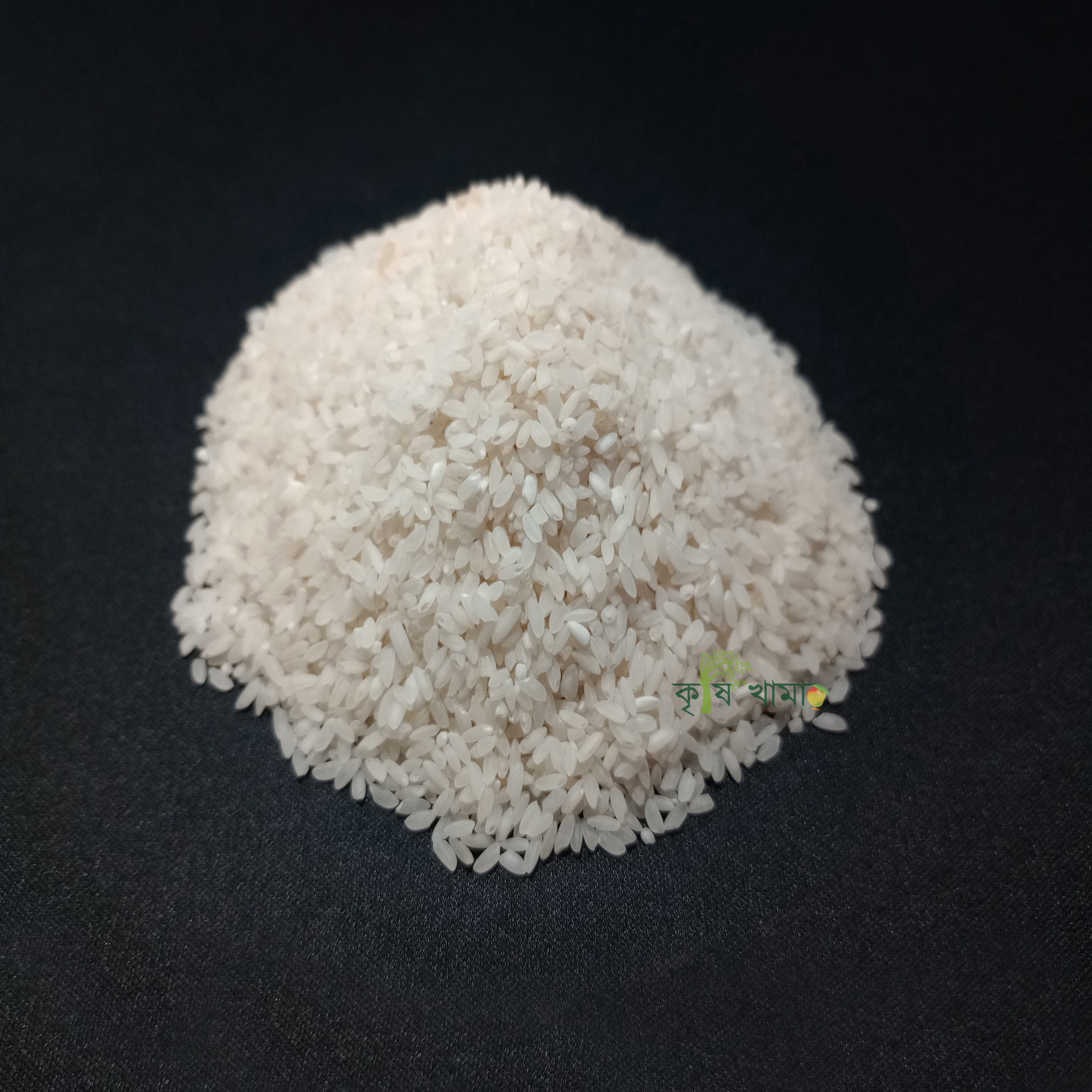 Krishikhamar - rice-cinigura-1.jpg