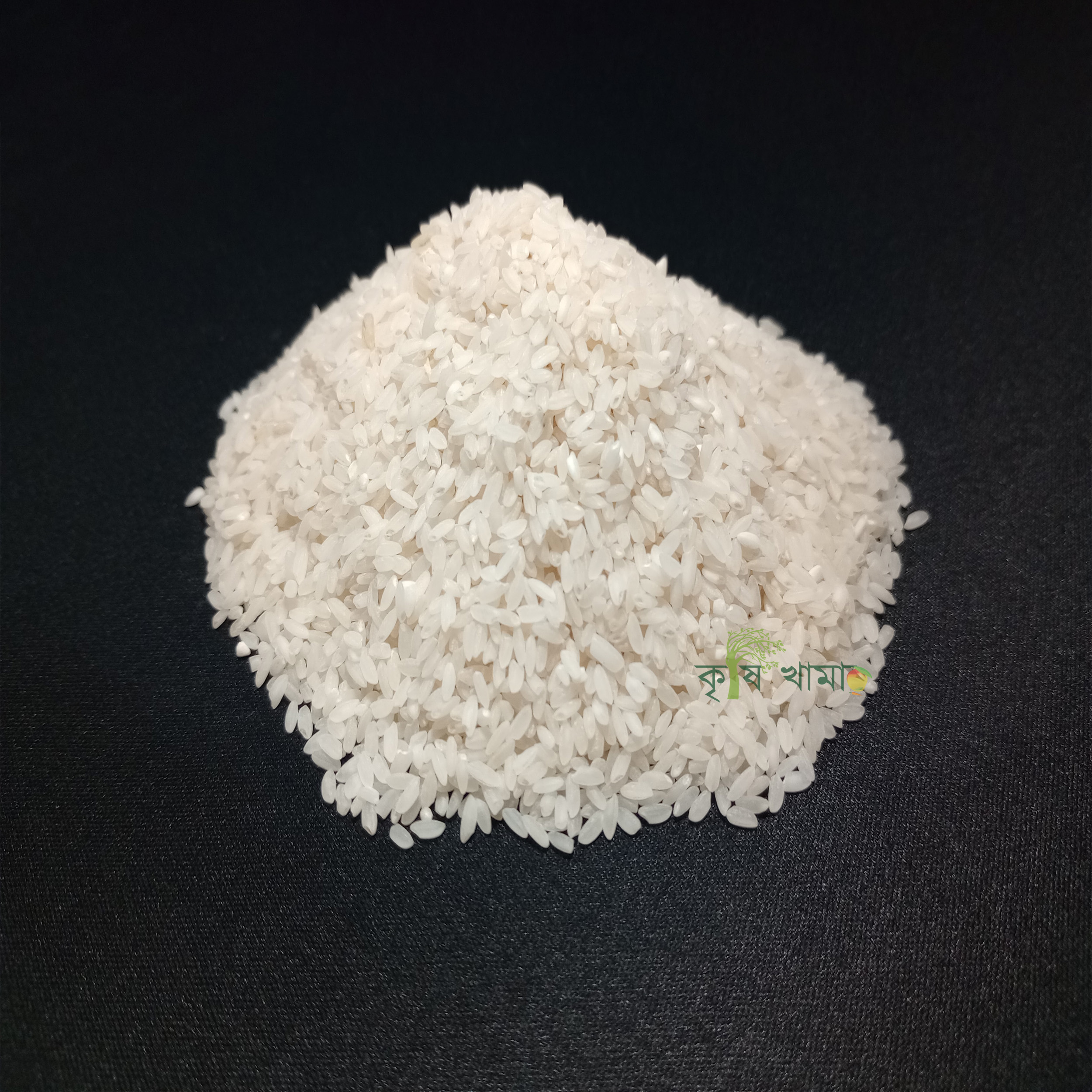 Krishikhamar - rice-cinigura-3.jpg